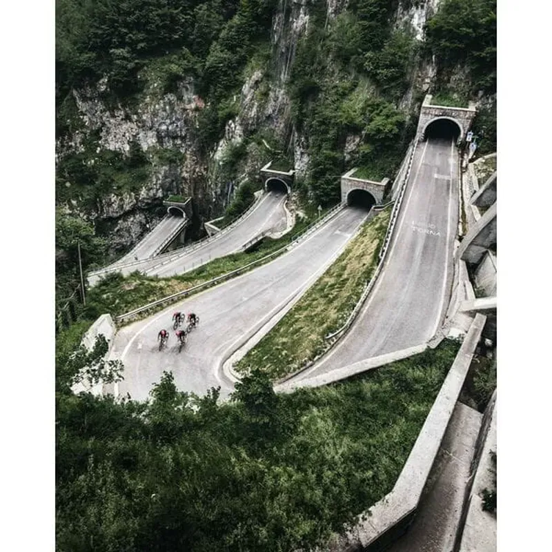 DTSwiss P 1800 SPLINE 23 5/100 mm Front Wheel Rim Brake-2